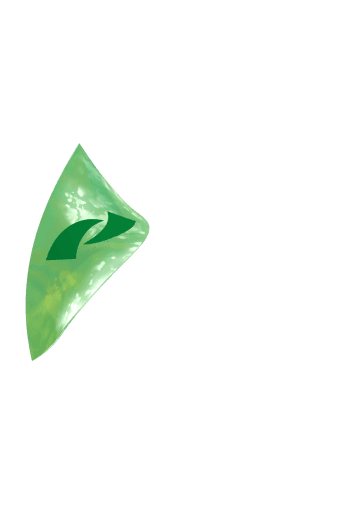 3D Money Element
